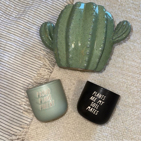 Other - Cactus Plant Pot Lot